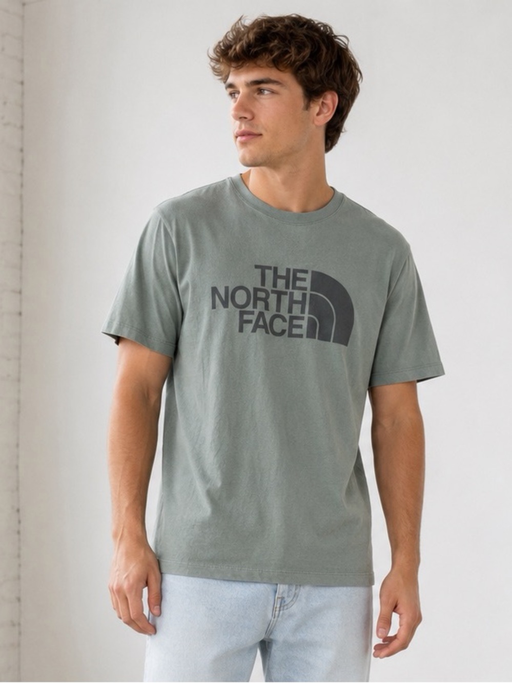 The North Face Men's Sage Green Logo Short Sleeve Tee